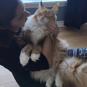 Meet your Posher, Lucie